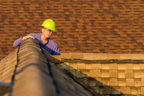 Roof Gutter Cleaning in Bear Valley Springs, CA